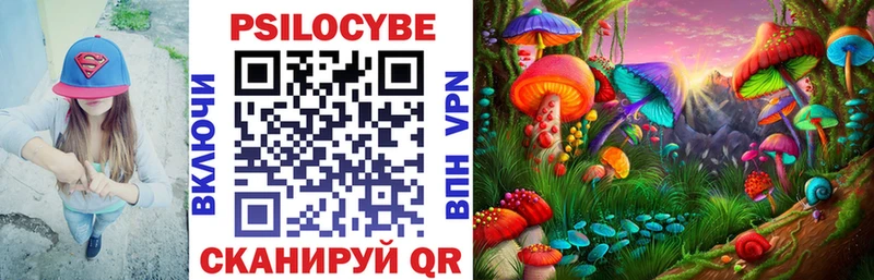 Псилоцибиновые грибы Psilocybe Петровск-Забайкальский