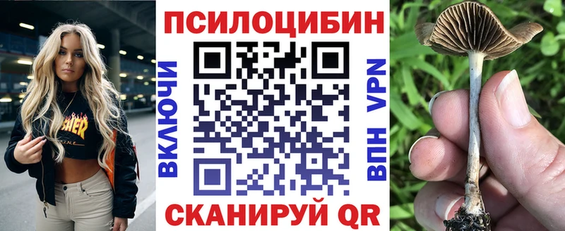 Галлюциногенные грибы ЛСД  Купить  Петровск-Забайкальский 
